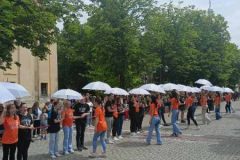 IMG-7b54d3b0a5355d69fcc8a4b29153df94-V